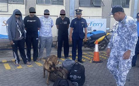 Five foreign nationals nabbed for illegal entry in Zamboanga City.